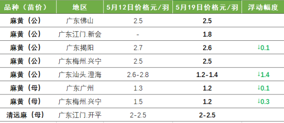 黄鸡跌势难止，倒苗持续！白鸡连涨两天，机会来了？丨鸡价周报