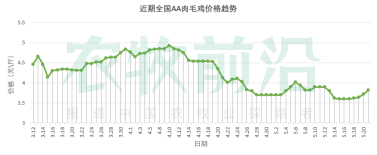 黄鸡跌势难止，倒苗持续！白鸡连涨两天，机会来了？丨鸡价周报