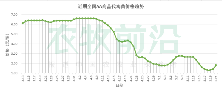 黄鸡跌势难止，倒苗持续！白鸡连涨两天，机会来了？丨鸡价周报