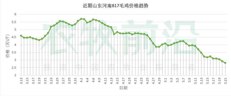 黄鸡跌势难止，倒苗持续！白鸡连涨两天，机会来了？丨鸡价周报