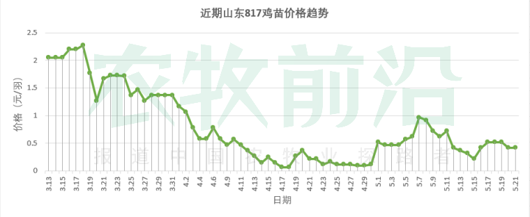 黄鸡跌势难止，倒苗持续！白鸡连涨两天，机会来了？丨鸡价周报