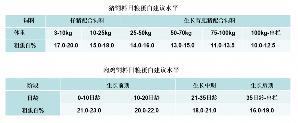 选好益生菌！实现无抗背景下肠道健康关键点控制