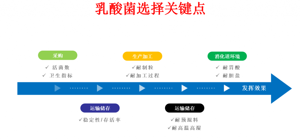 选好益生菌！实现无抗背景下肠道健康关键点控制