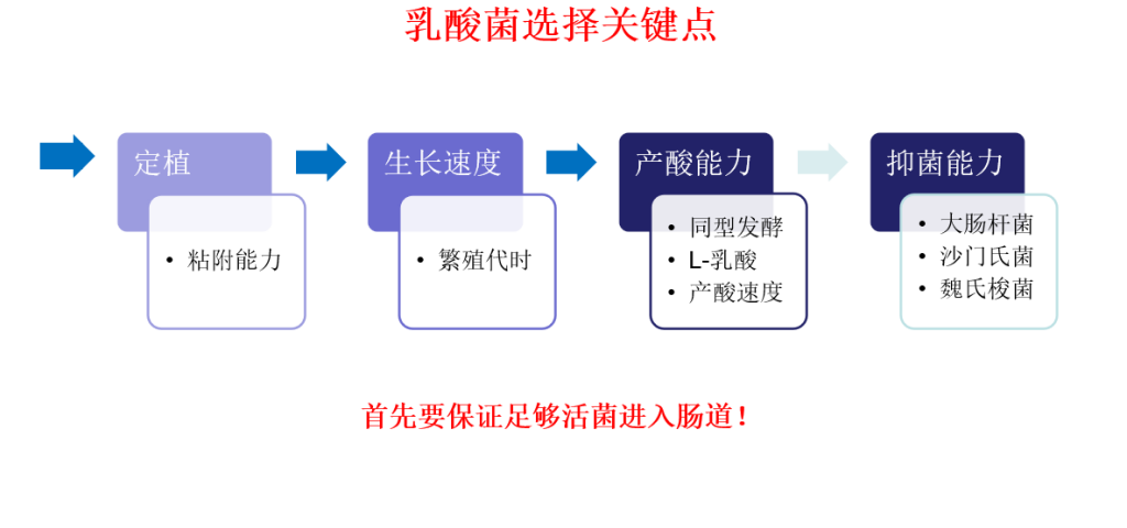 选好益生菌！实现无抗背景下肠道健康关键点控制