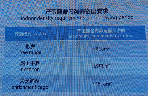 动物福利委员会张沛：应激会导致蛋中皮质酮的沉积量增加，因此母鸡的福利是关键！