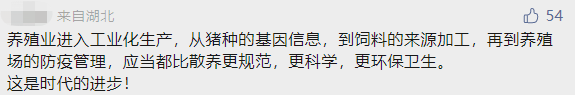 再引热议！成功运营5年的楼房猪场是怎么养猪的？